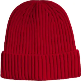 FWRD Glacier Ribbed Beanie Red